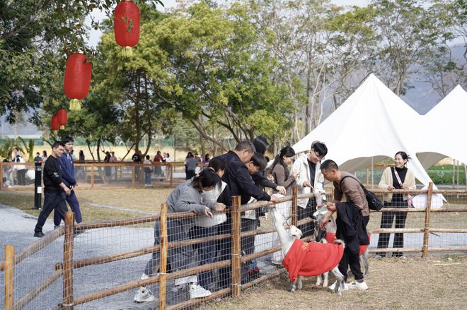 九游体育4天游客超百万！清远旅游热度持续攀升｜新春走基层·文化中国年(图2)